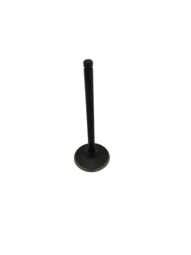 Клапан впускной двиг. ZS 172FMM-3А / PR pitbikemarket.ru